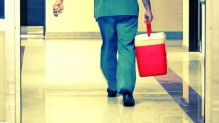 Her yıl 100 bin kişi organ bulunamadığı için ölüyor