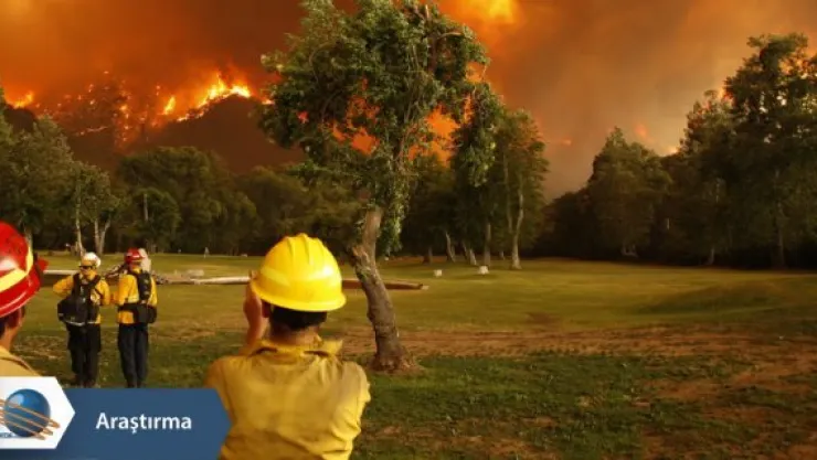 İhmal ve dikkatsizlik ormanların baş düşmanı