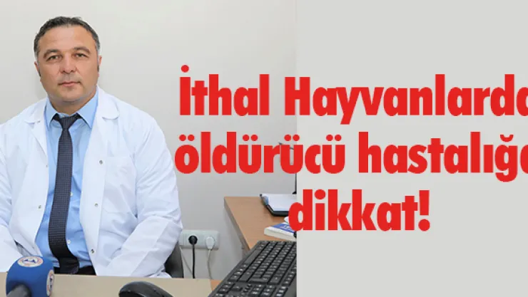 İthal Hayvanlarda öldürücü hastalığa dikkat!