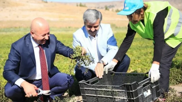 "Tarımın yolu Kocasinan'dan geçer"