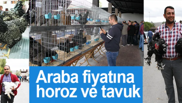 Araba fiyatına horoz ve tavuk