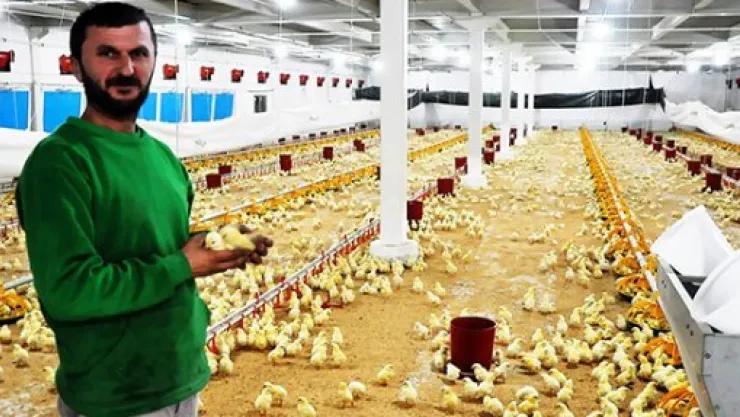 Hibe desteği başvuruları devam ediyor