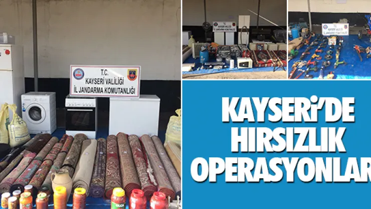Hırsızlar çetesinin lideri yakalandı