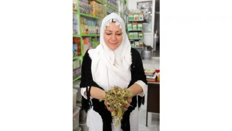 Ihlamur fiyatları altınla yarışıyor