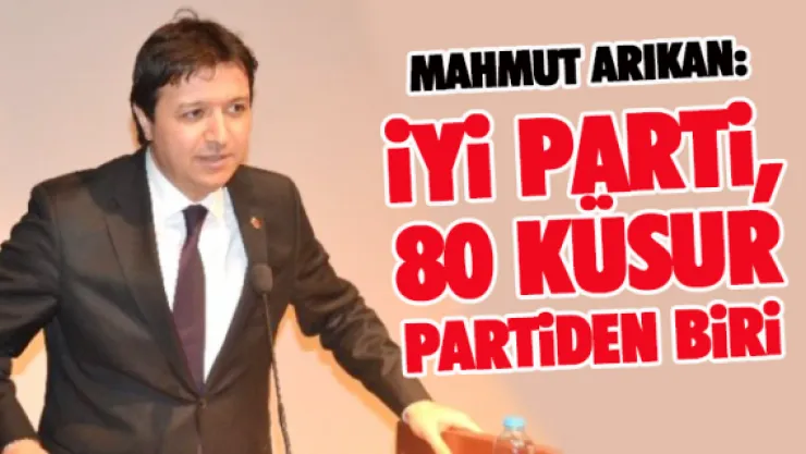 İyi Parti, 80 küsur partiden biri
