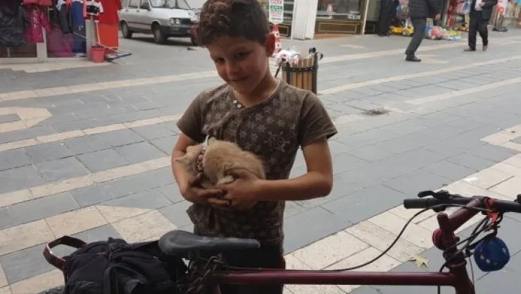 Suriyeli Musa'nın hayvan sevgisi hayran bırakıyor