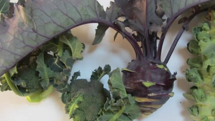 Akkışla İlçe Müdürlüğü'nden bir ilk