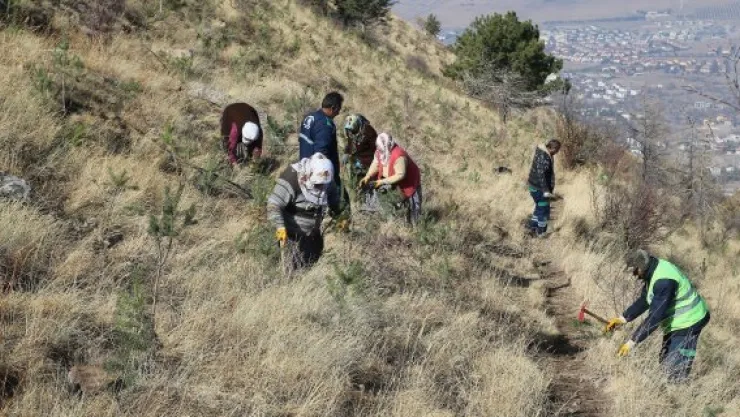 Ali Dağı Kayseri'nin akciğeri olacak