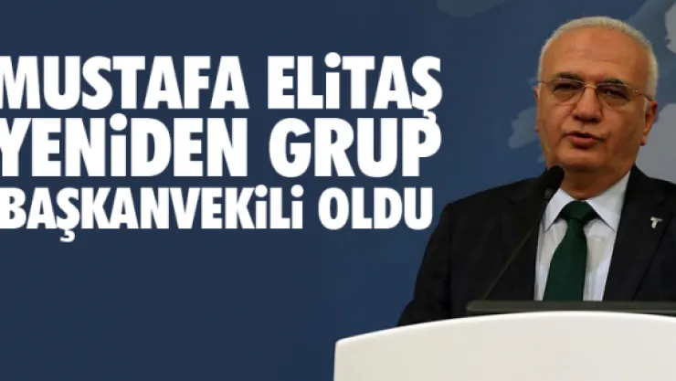 ELiTAŞ YENiDEN GRUP BAŞKANVEKiLi OLDU