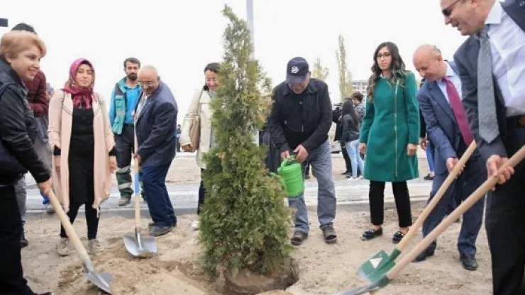 Kocasinan, bu sefer diyabet farkındalığı için ağaç dikti