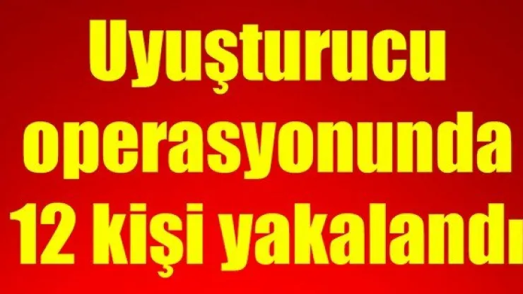 Uyuşturucu operasyonunda 12 kişi yakalandı