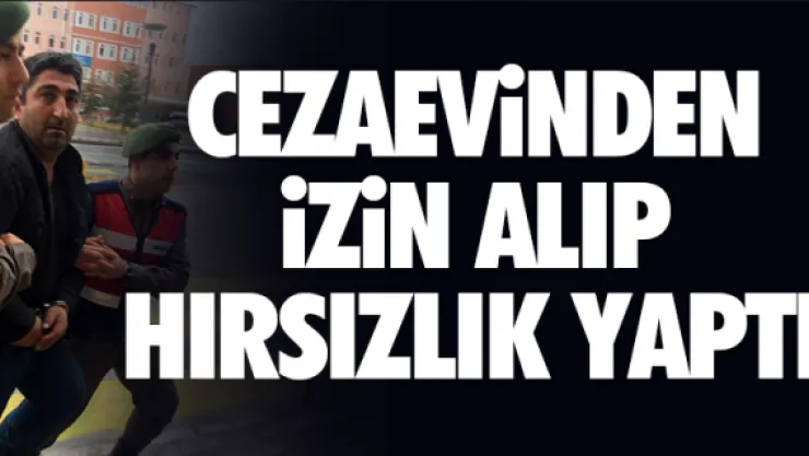 CEZAEViNDEN iZiN ALIP HIRSIZLIK YAPTI