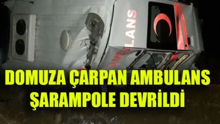 DOMUZA ÇARPAN AMBULANS ŞARAMPOLE DEVRİLDİ