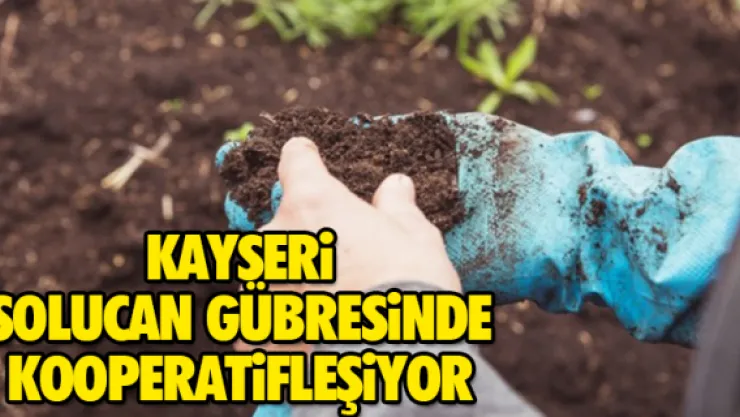KAYSERi SOLUCAN GÜBRESiNDE KOOPERATiFLEŞiYOR
