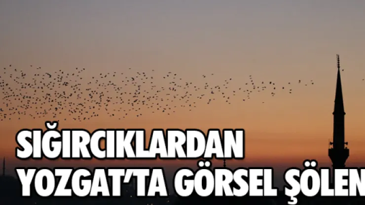 SIĞIRCIKLARDAN YOZGAT'TA GÖRSEL ŞÖLEN