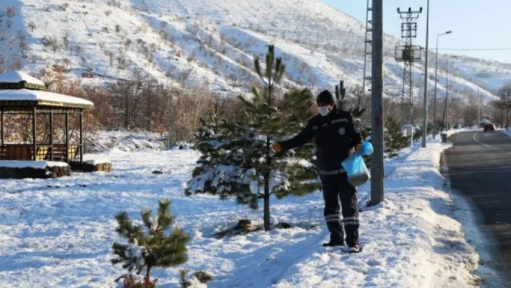 Talas Belediyesi  sokak hayvanlarını unutmadı