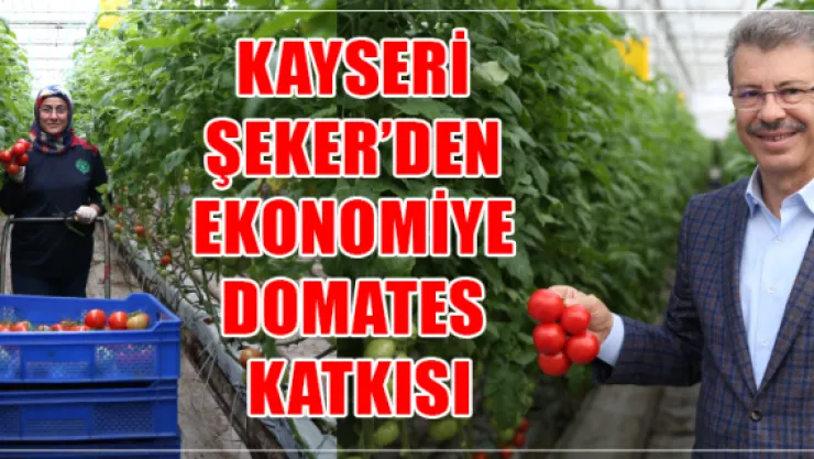 KAYSERİ ŞEKER'DEN EKONOMİYE DOMATES KATKISI