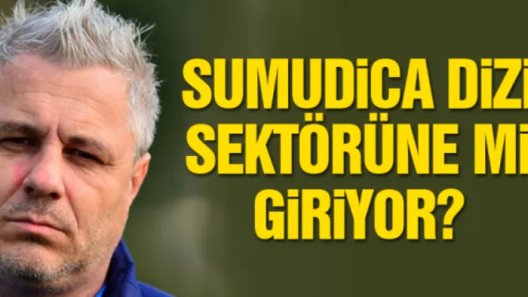SUMUDiCA DiZi SEKTÖRÜNE Mi GiRiYOR?