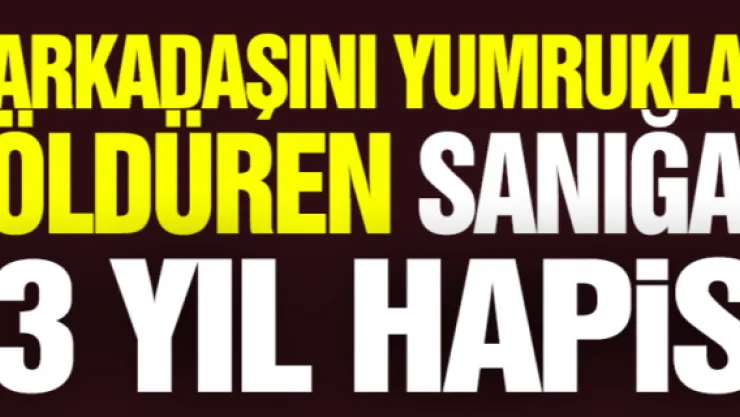 Arkadaşını yumrukla öldüren sanığa 3 yıl hapis 