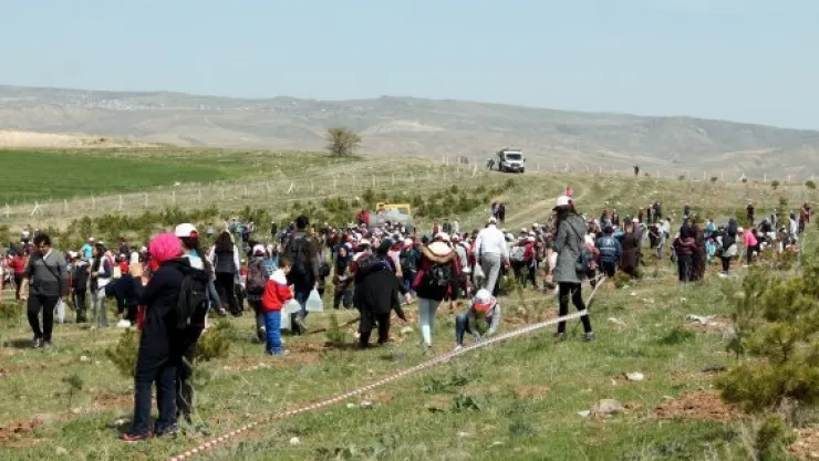 20 bin kişi katıldı, 10 bin fidan dikildi