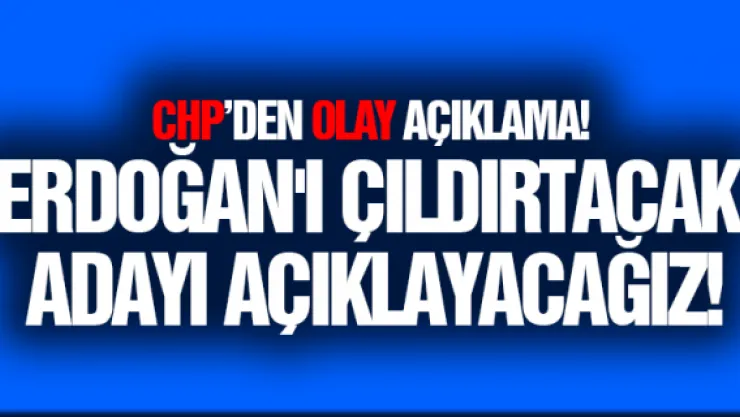 CHP'li Özel: Erdoğan'ı çıldırtacak adayı açıklayacağız!