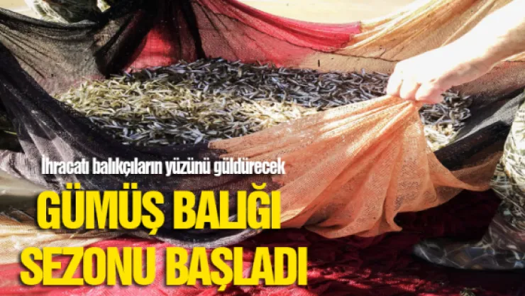 GÜMÜŞ BALIĞI SEZONU BAŞLADI