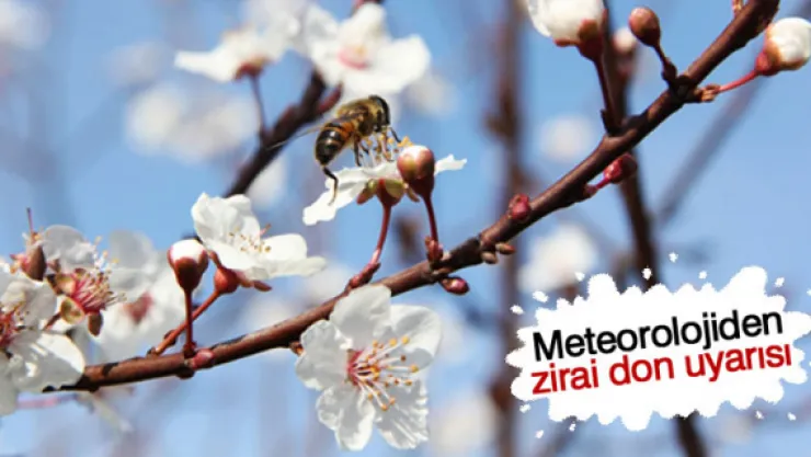 Kayseri ve 5 il için zirai don uyarısı