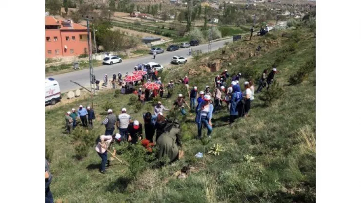 Şehitler anısına fidanlar toprak ile buluştu