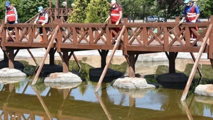 Kocasinan'da huzurlu bir yaz için haşere mücadelesi