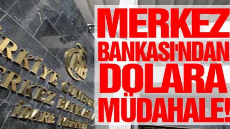 Merkez Bankası'ndan dolara müdahale!