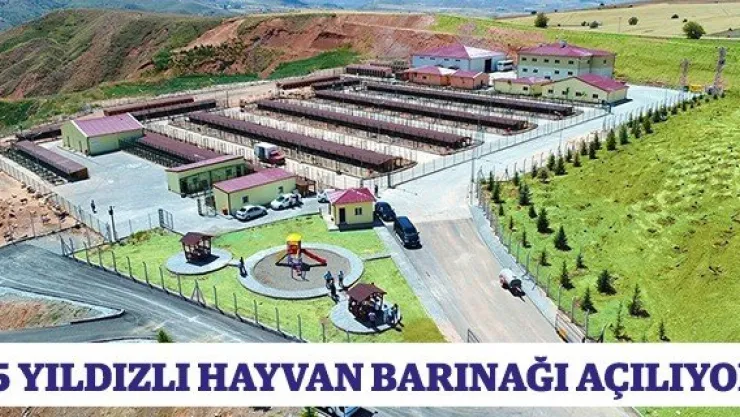 5 yıldızlı hayvan barınağı açılıyor