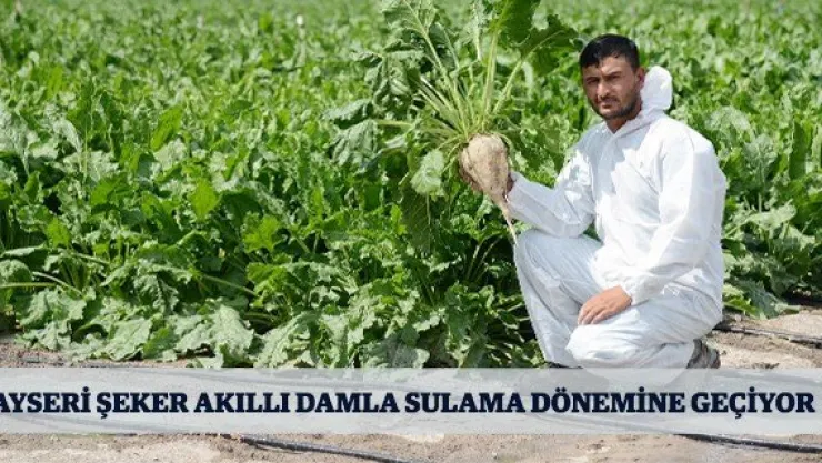 Kayseri Şeker akıllı damla sulama dönemine geçiyor