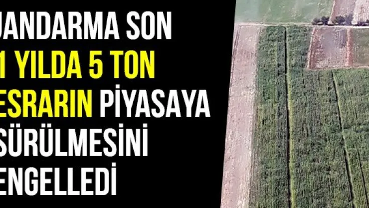 Jandarma Son 1 Yılda 5 Ton Esrarın Piyasaya Sürülmesini Engelledi