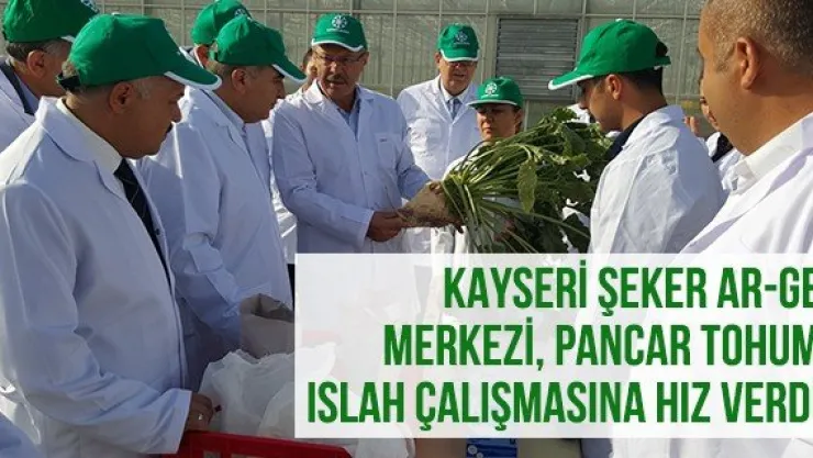 KAYSERİ ŞEKER AR-GE MERKEZİ, PANCAR TOHUM ISLAH ÇALIŞMASINA HIZ VERDİ