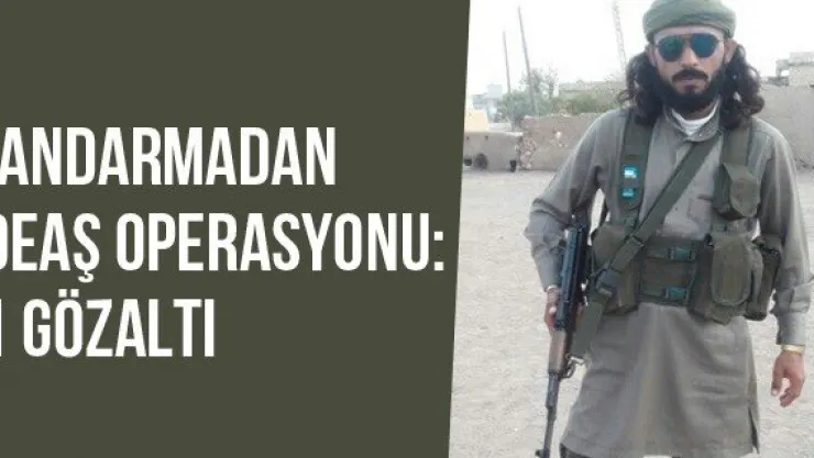 Jandarmadan DEAŞ Operasyonu: 1 Gözaltı