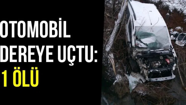 Otomobil Dereye Uçtu: 1 Ölü