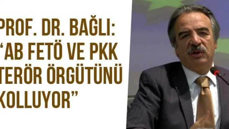 Prof. Dr. Bağlı: 'AB FETÖ Ve PKK Terör Örgütünü Kolluyor'