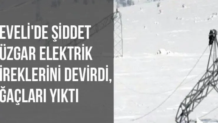 Develi'de Şiddet Rüzgar Elektrik Direklerini Devirdi, Ağaçları Yıktı