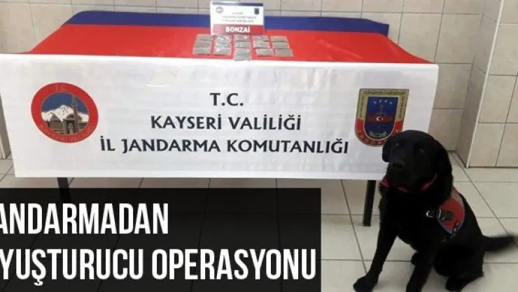 Jandarmadan Uyuşturucu Operasyonu