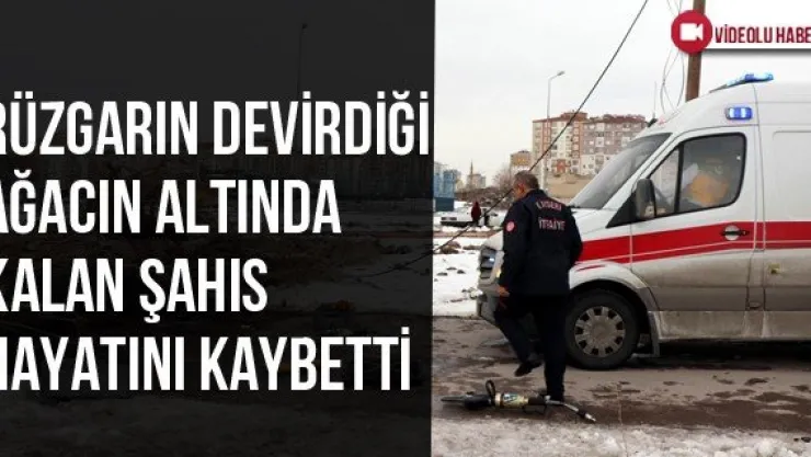 Rüzgarın Devirdiği Ağacın Altında Kalan Şahıs Hayatını Kaybetti