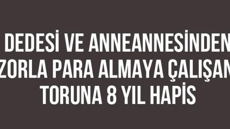 Dedesi ve anneannesinden zorla para almaya çalışan toruna 8 yıl hapis