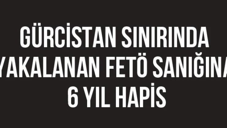 Gürcistan sınırında yakalanan FETÖ sanığına 6 yıl hapis