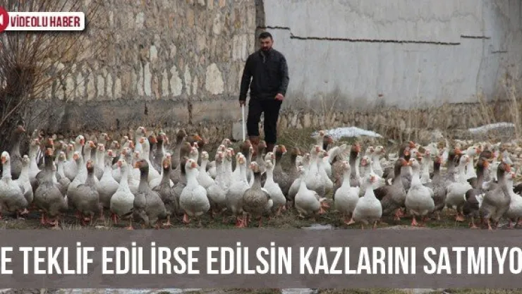 Ne teklif edilirse edilsin kazlarını satmıyor