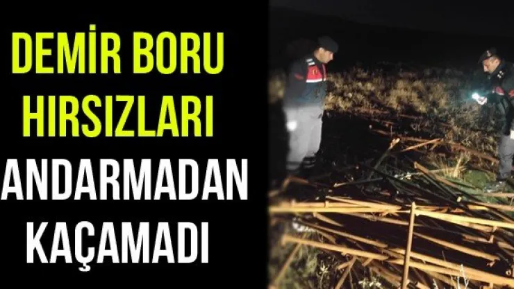 Demir Boru Hırsızları Jandarmadan Kaçamadı