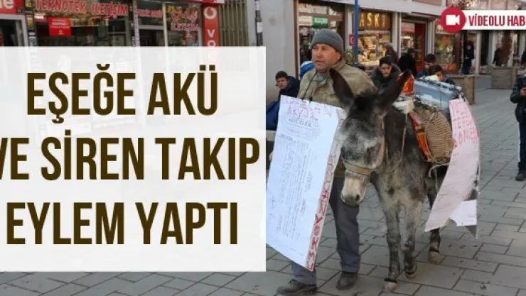 Eşeğe Akü Ve Siren Takıp Eylem Yaptı