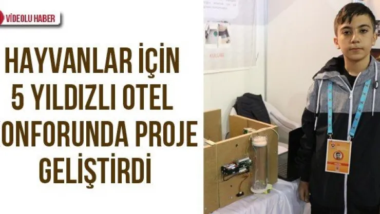 Hayvanlar İçin 5 Yıldızlı Otel Konforunda Proje Geliştirdi