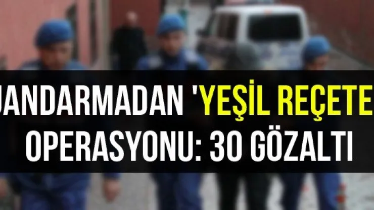 Jandarmadan 'Yeşil Reçete' operasyonu: 30 gözaltı