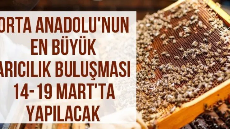 Orta Anadolu'nun en büyük arıcılık buluşması 14-19 Mart'ta yapılacak