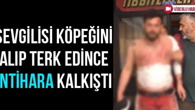 Sevgilisi Köpeğini Alıp Terk Edince İntihara Kalkıştı