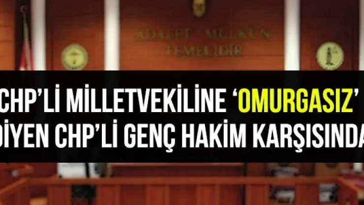 CHP'li milletvekiline 'omurgasız' diyen CHP'li genç hakim karşısında